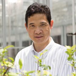 许克农徐