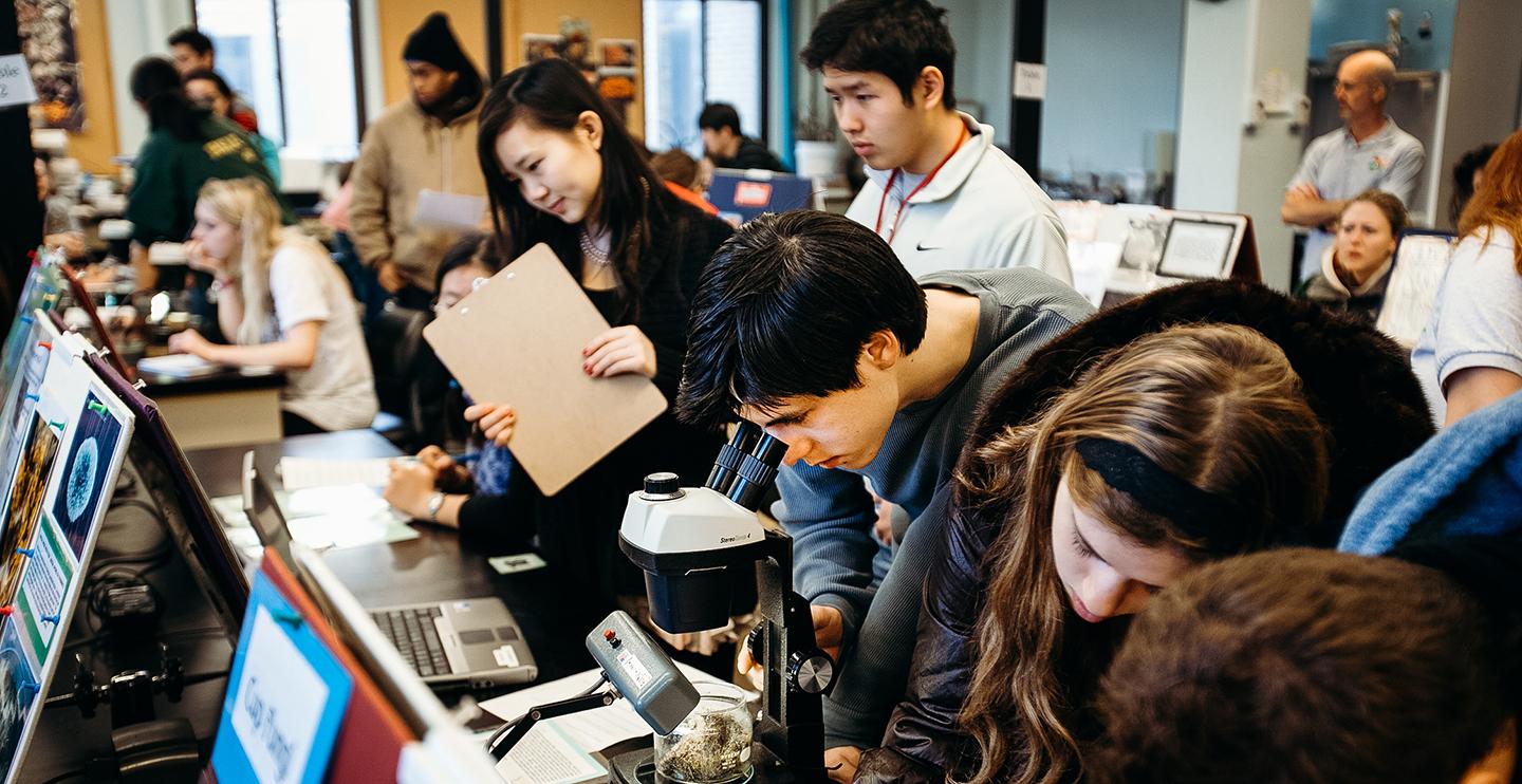 一群学生通过显微镜检查显示器