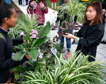 两个女人谈论室内植物