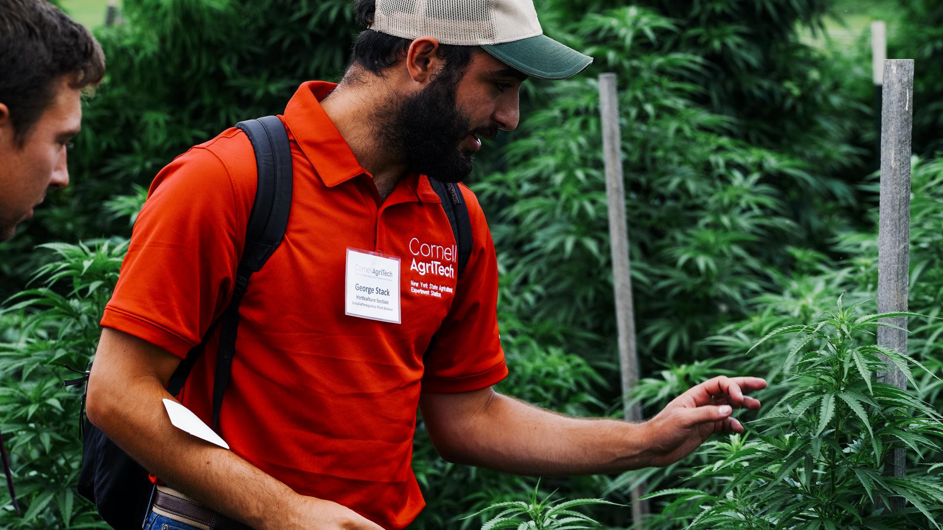 一名身穿红色衬衫、头戴棒球帽的男子站在前面，正在谈论一种绿叶植物