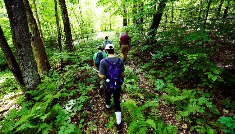 A group of students walking through a wooded area