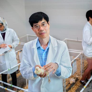 站立在包含鸡钢笔的一个房间的亚裔男性有在他后的男性和女性实验室工作者的