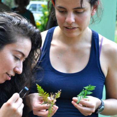 两个女孩在放大镜下检查植物的叶子
