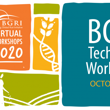 BGRI技术研讨会10月7-9日