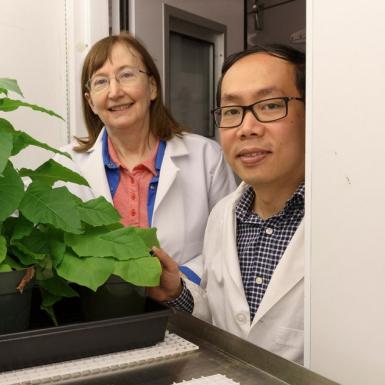 一男一女站在绿色植物旁边