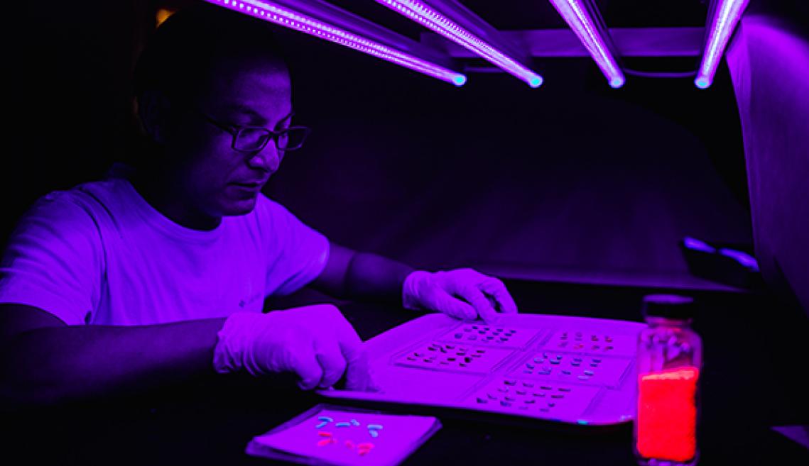 在黑光下分析标本的人。