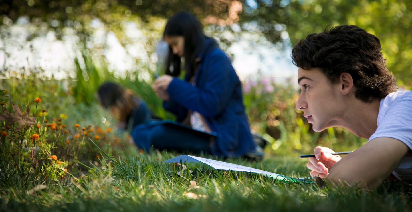 Student drawing biodiveristy while lying down in the grass.