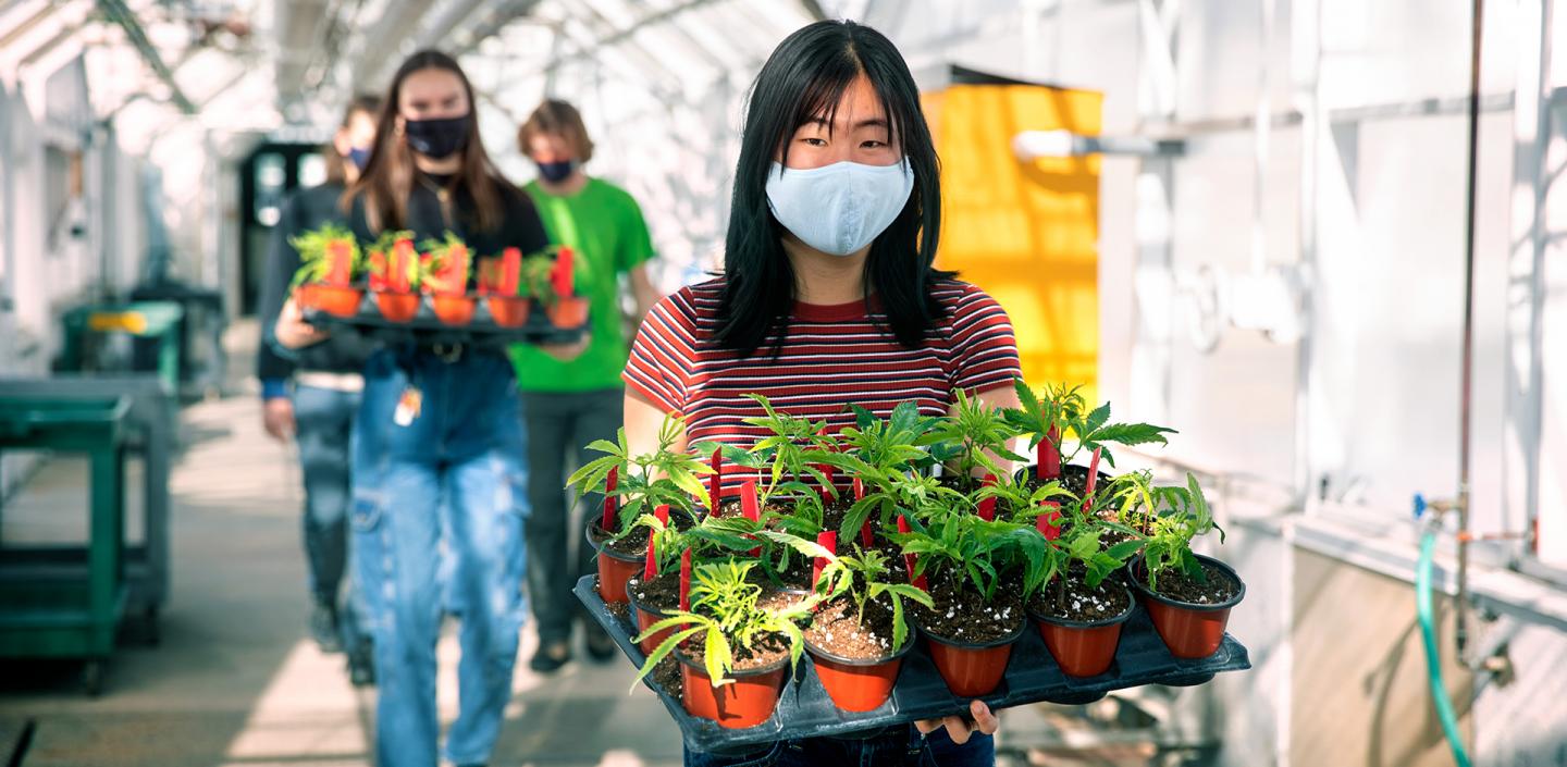 学生们在温室里搬运植物