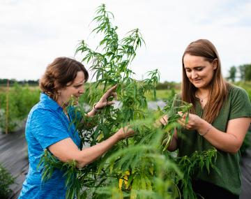 两个人站在植物面前，检查叶子