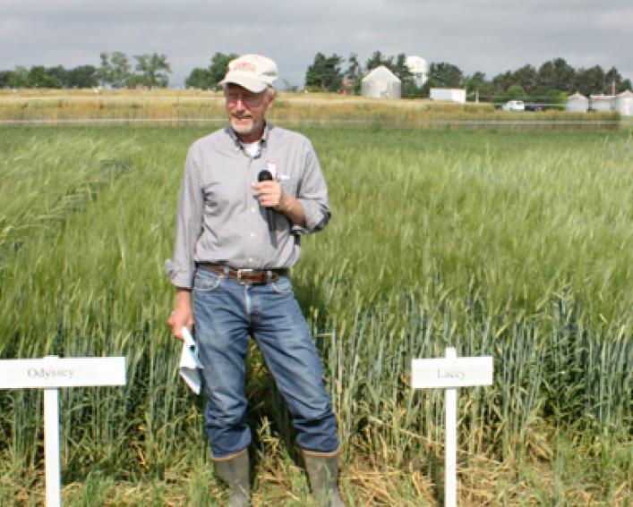man standing in a barley field